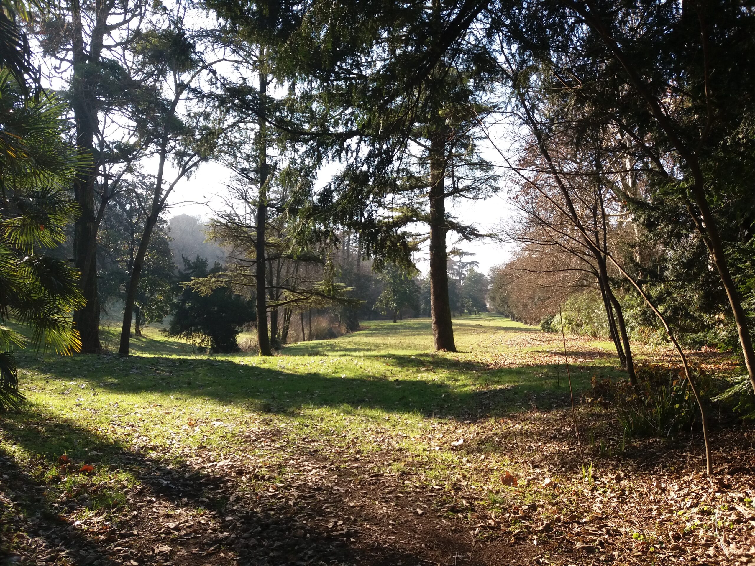 parco scuola libera lonigo 2