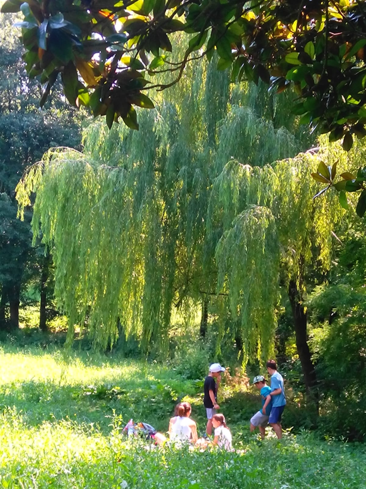 parco scuola libera lonigo